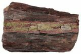 Arizona Petrified Wood Table With Metal Base #214471-4
